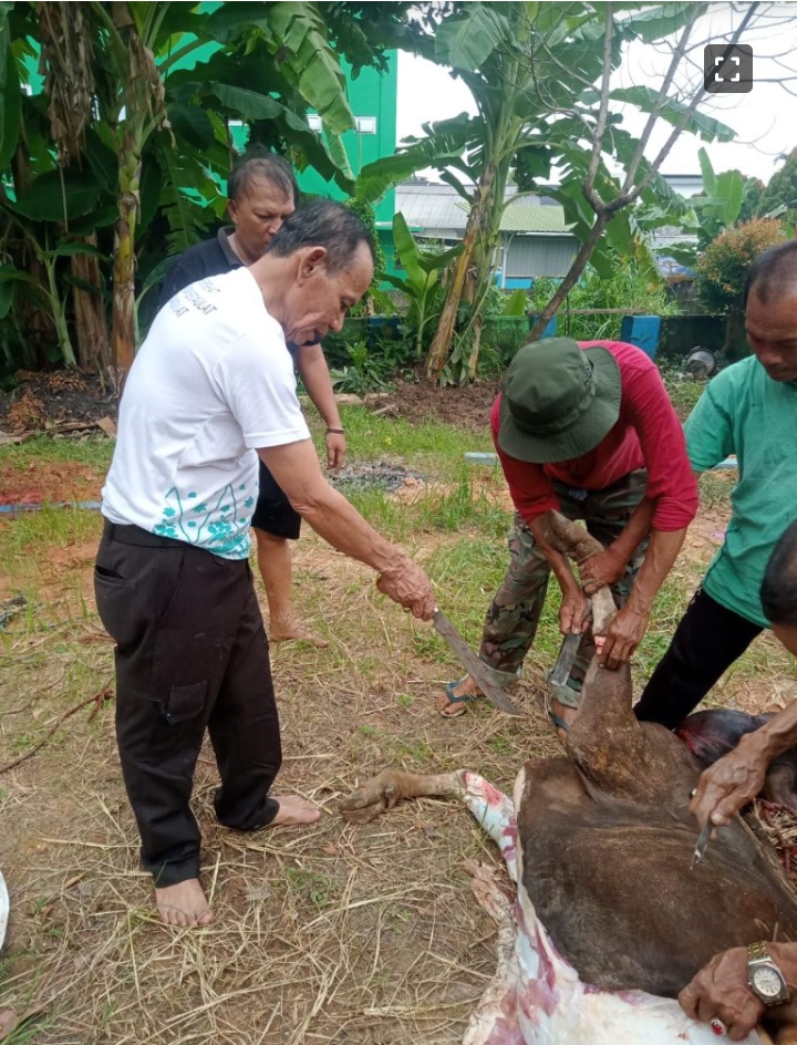Ketua PWI Jambi HR Ridwan Agus Turun Langsung Sembelih Hewan Kurban Idul Adha 1447 H