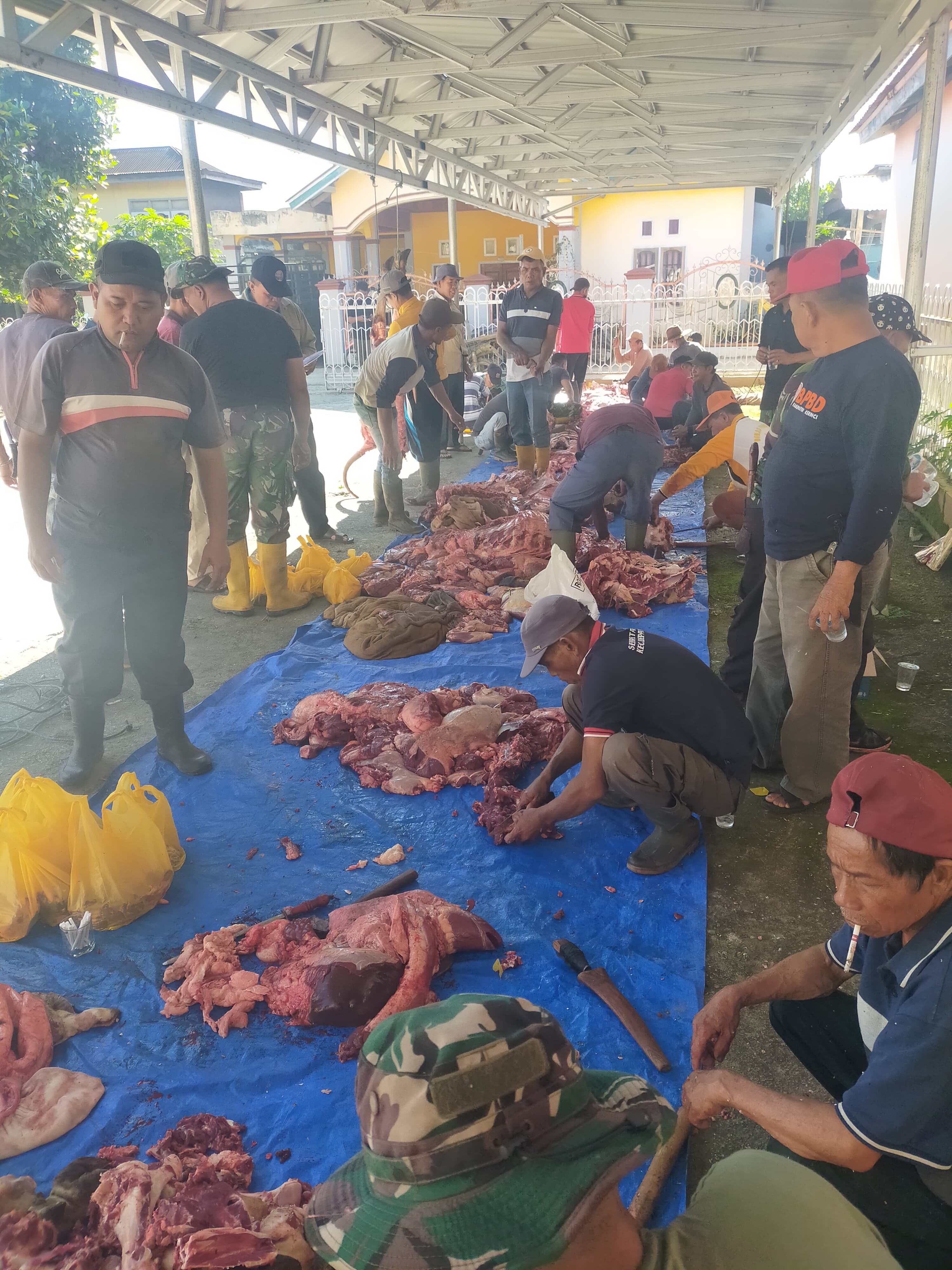Kekompakan Masyarakat Semumu: 18 Ekor Hewan Kurban Sebagai Simbol Kebersamaan